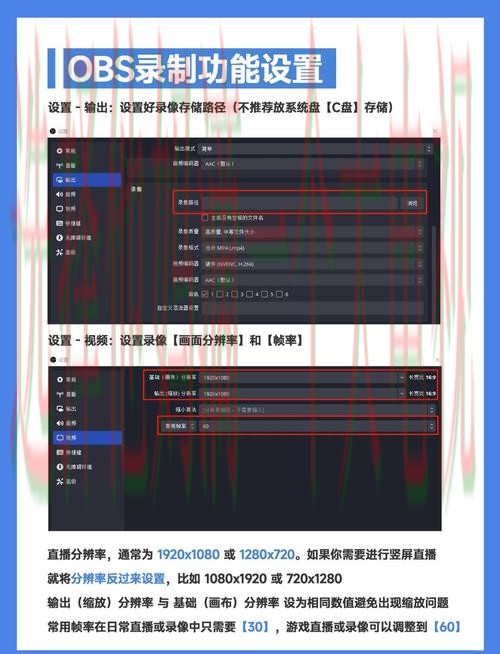 雷竞技直播app官方下载与使用指南