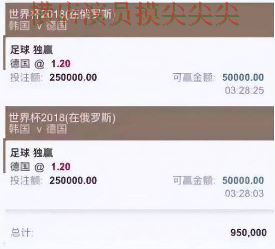 世界杯买球平台盘点合集：覆盖访问方式+直播与入口方式 - 世界杯赛事中心